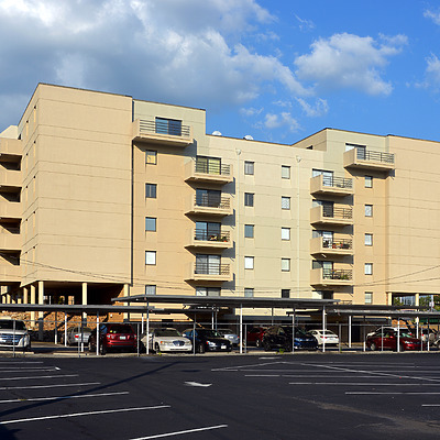 Fort Henry Arms by John W. Cahill