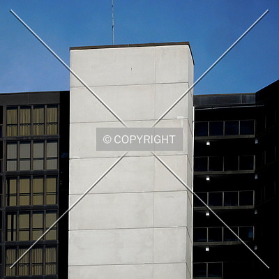 Golden Sands by Chris Patriarca