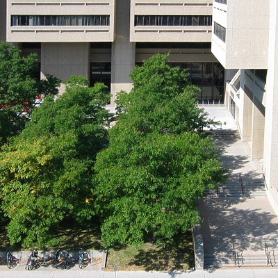 Moos Health Sciences Tower by James Peacock