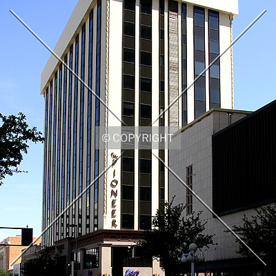 The Pioneer by Chris Patriarca