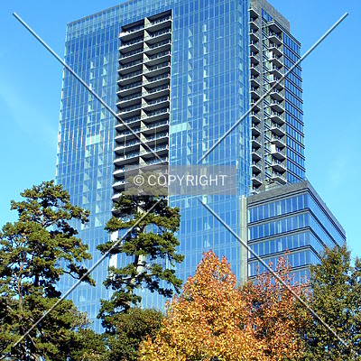 The Ritz-Carlton Residences by Clayton Odom