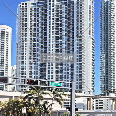 The Ivy by Jorge Molina