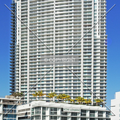 The Ivy by Jorge Molina