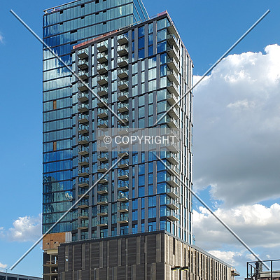 One Cardinal Way by Ryan Hildebrand