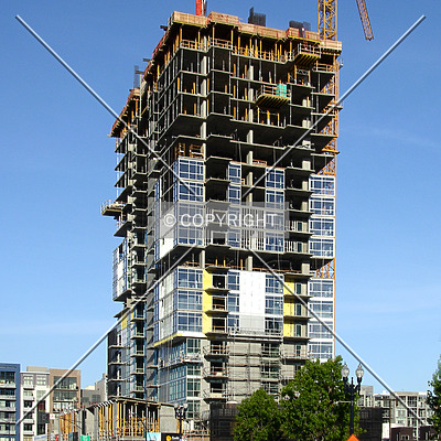 The Mark by Chris Patriarca