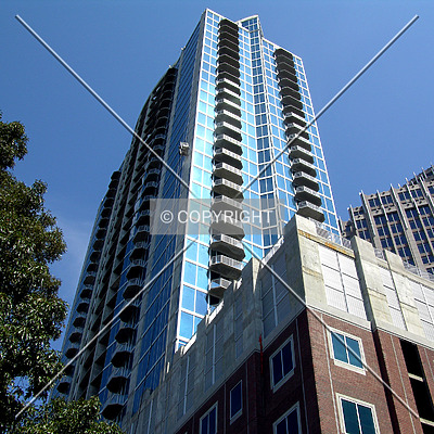 Avenue by Chris Patriarca