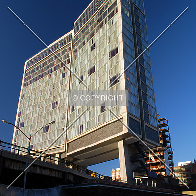 Standard Hotel by Royce Douglas