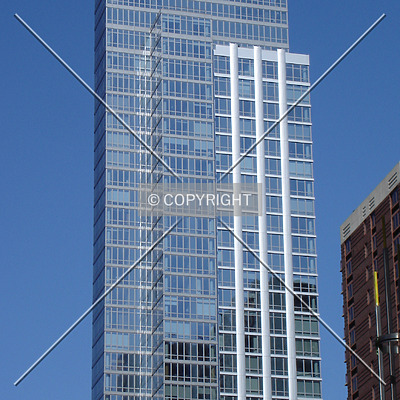 The Link by Royce Douglas