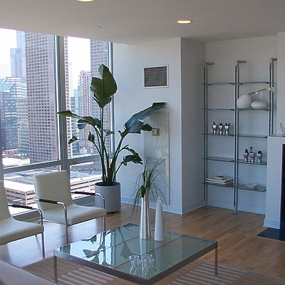 Skybridge by Daniel Kieckhefer