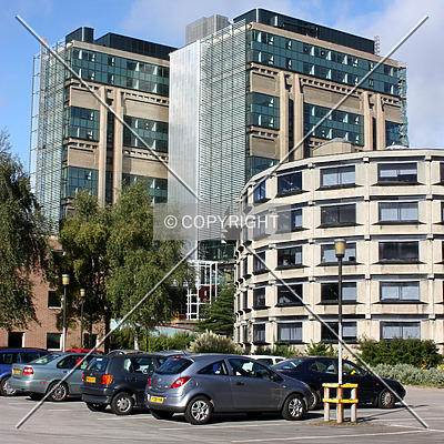 Muirhead Tower by Neil Nickolds