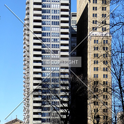 The Dorchester by Chris Patriarca