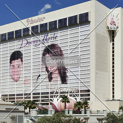 Flamingo Las Vegas by Nephilim