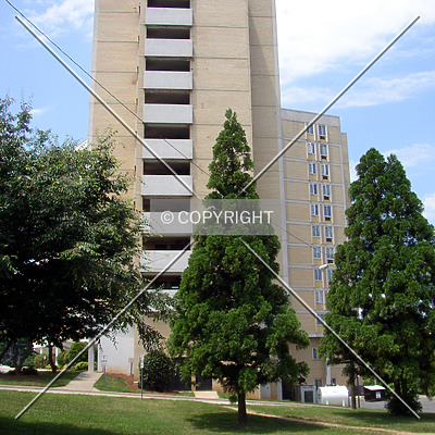 Crystal Towers by Chris Patriarca