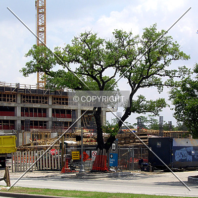 Memorial Hermann Medical Plaza by Chris Patriarca