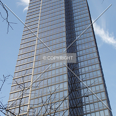 The Link by Royce Douglas