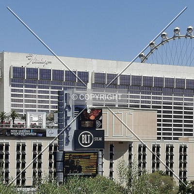 Flamingo Las Vegas by Nephilim