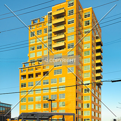 Maryland Walk by Ryan Hildebrand