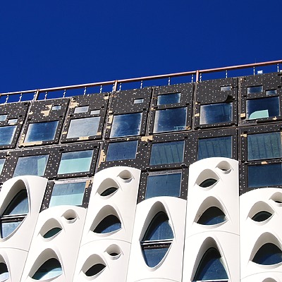 Populus by Brian LoBue