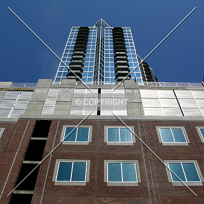 Avenue by Chris Patriarca