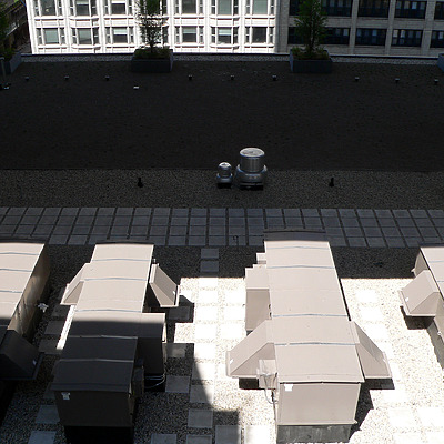 MoMo by B. Victor Adams