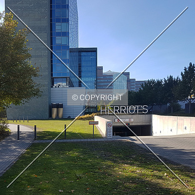 Herriot´s by Nephilim