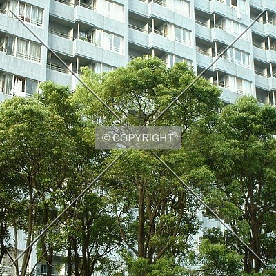 Horikawa Cho Heights by Andrew Stewart