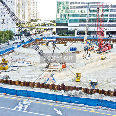 Monarc at Met 3 by Jorge Molina