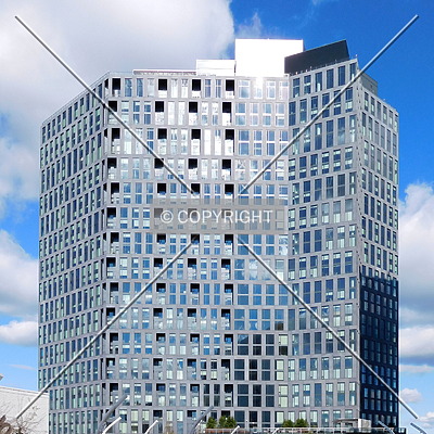 Vita by Chris Patriarca