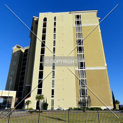 Sienna on the Coast by Chris Patriarca