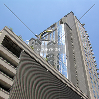 TradeMark by Chris Patriarca