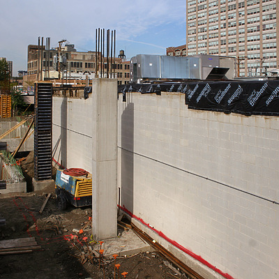 The Lex by Daniel Kieckhefer