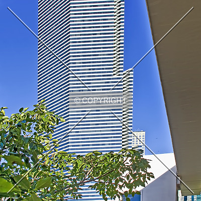 Miami Tower by Jorge Molina