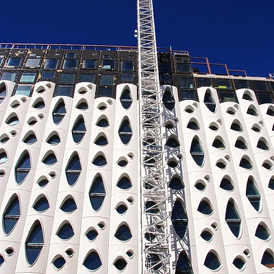 Populus by Brian LoBue