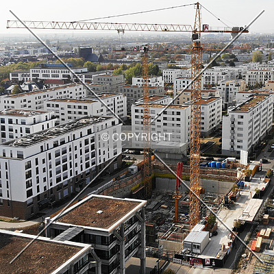 SOLID Home by Nephilim