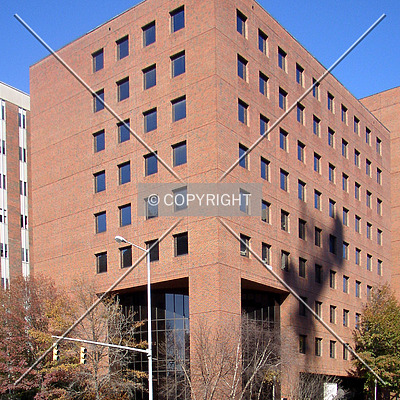 Tinsley Harrison Research Tower by Chris Patriarca