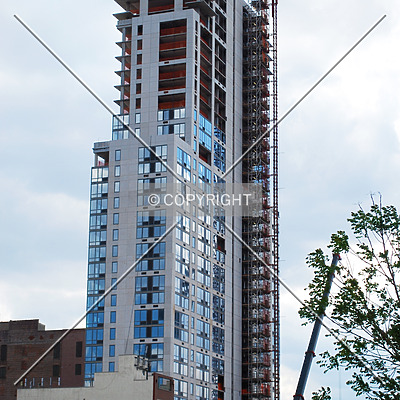 OHM by Royce Douglas