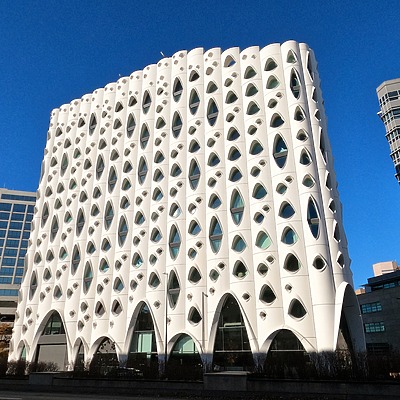 Populus by Brian LoBue