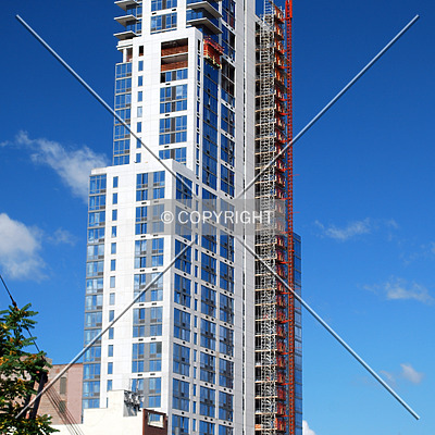 OHM by Royce Douglas