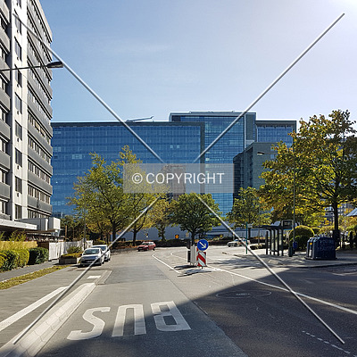 Herriot´s by Nephilim