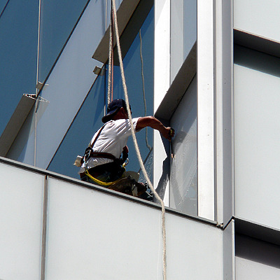 MoMo by B. Victor Adams