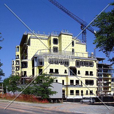 Rosewood Building I by Chris Patriarca