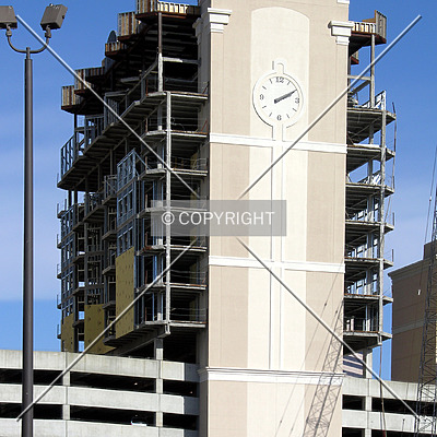 The Madison Charlotte by Chris Patriarca