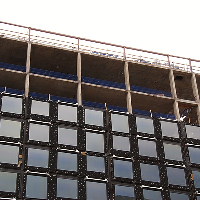 Populus by Brian LoBue