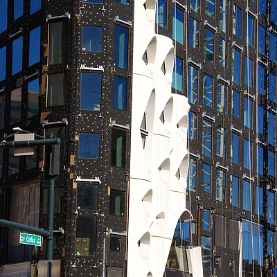 Populus by Brian LoBue