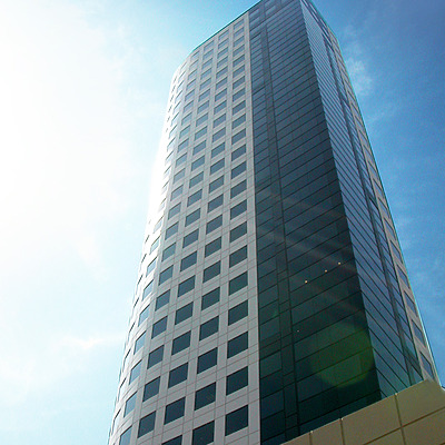 The Tower by Jim Schwartz