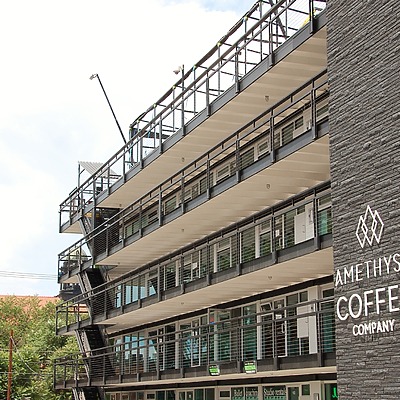 The Metlo by Brian LoBue