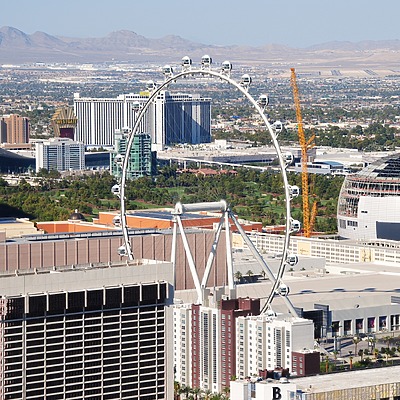 High Roller by Brian LoBue