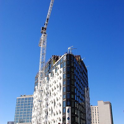 Populus by Brian LoBue