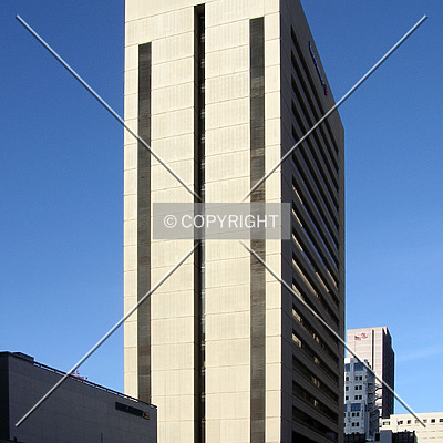 Bank of America Plaza by Chris Patriarca