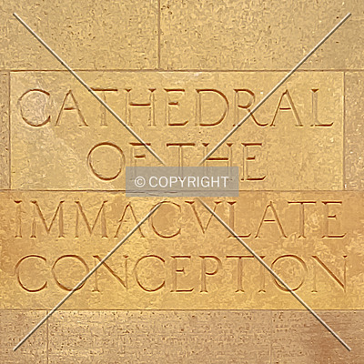 Cathedral of the Immaculate Conception by Ryan Hildebrand